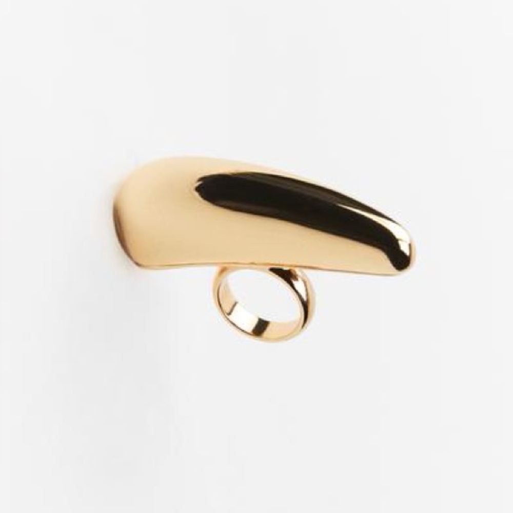 NWT - Zara HORIZONTAL DROP RING GOLDEN